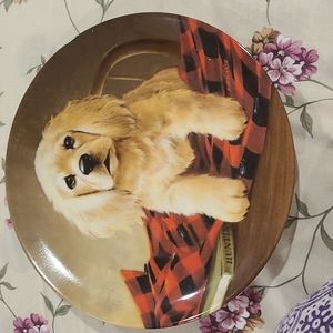 Shirt Tales The Cocker Spaniel Collector Plate Field Puppies Lynn Kaatz Dog